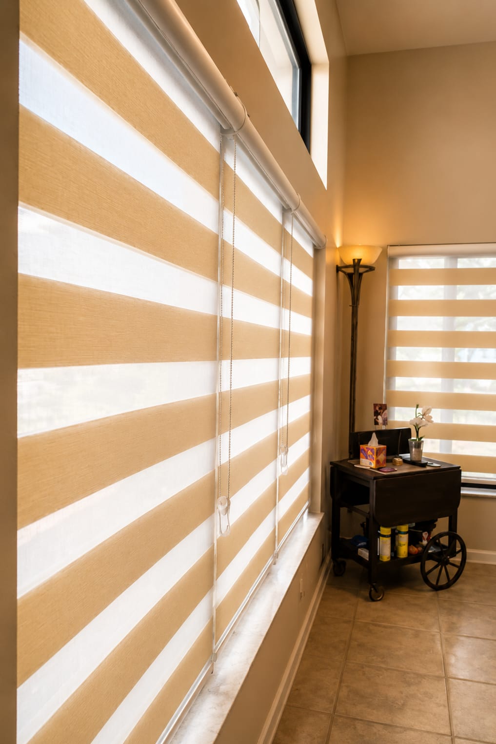 Pair of beige zebra blinds on a tall window with visible lift chains