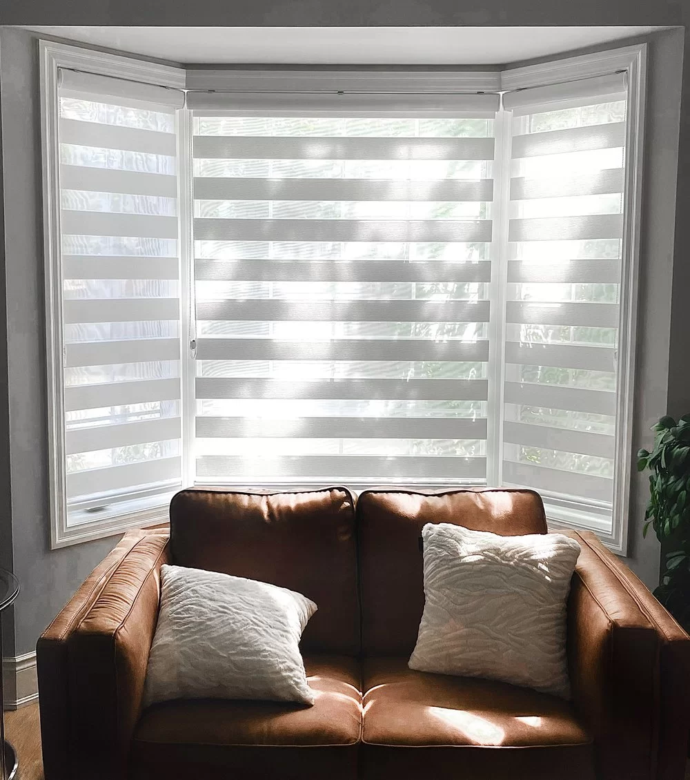 Zebra Blinds